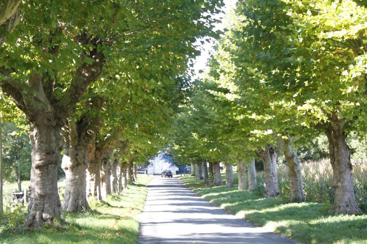 Avenue Du Chateau Saint-Just  Екстериор снимка